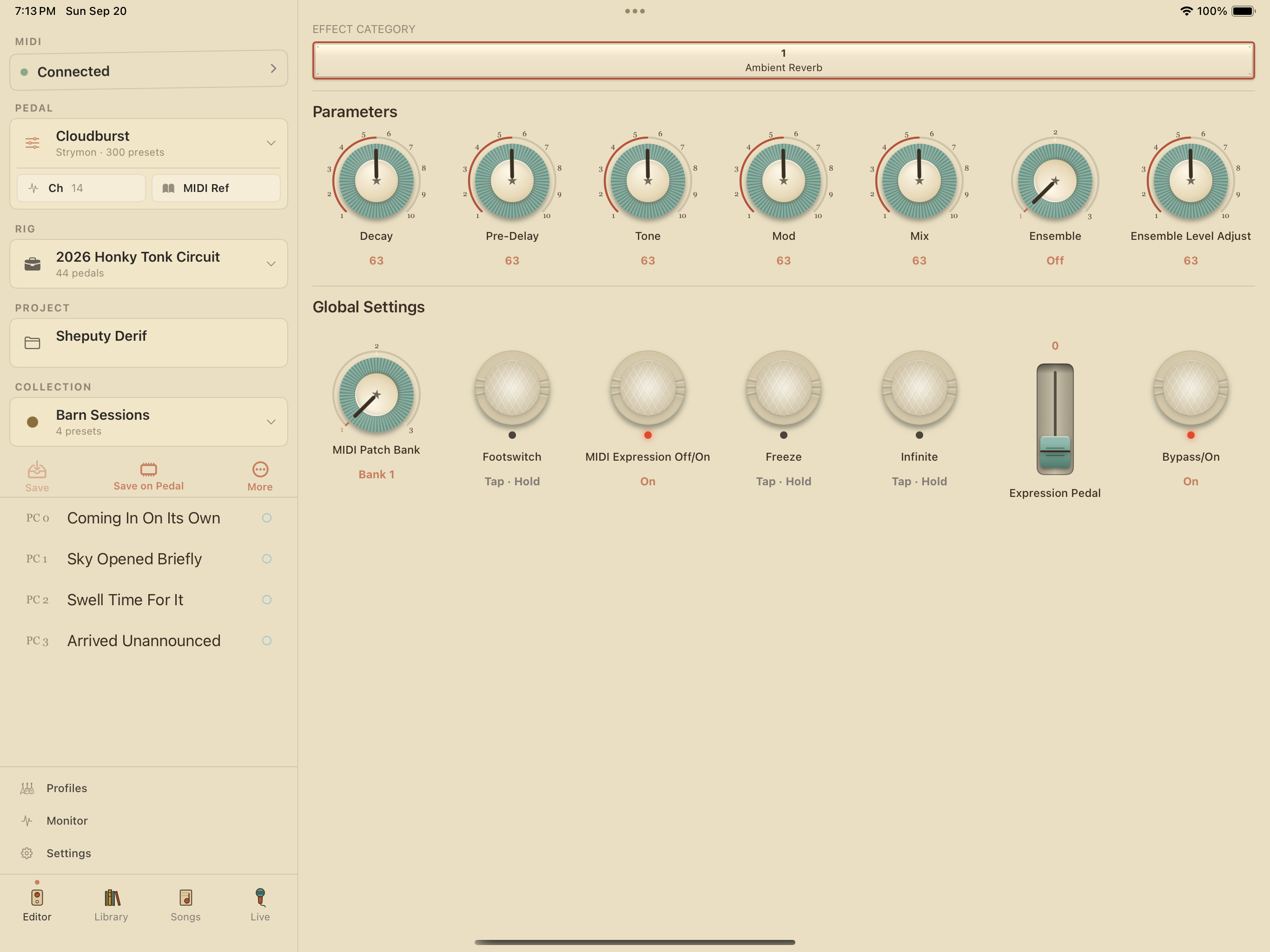 Strymon Cloudburst on iPad in PedalEditor