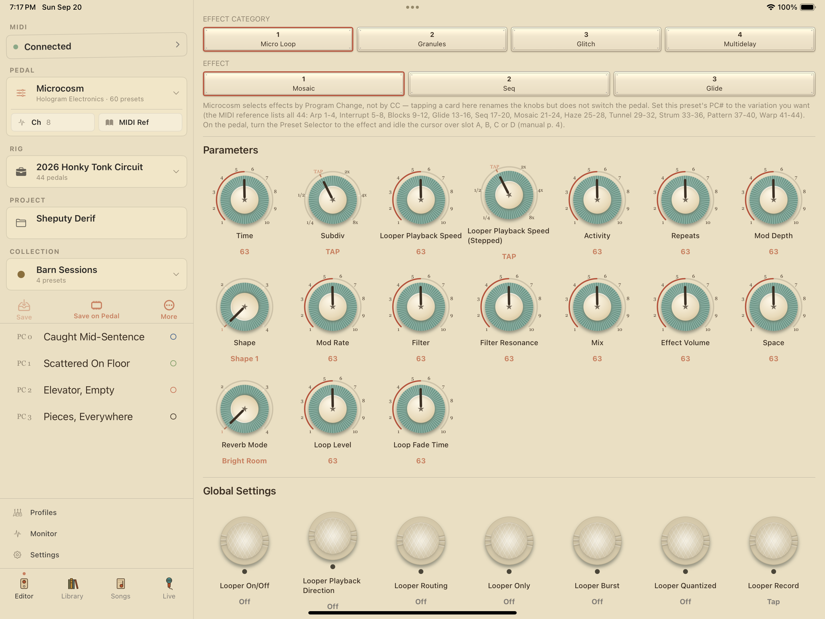 Hologram Microcosm on iPad in PedalEditor