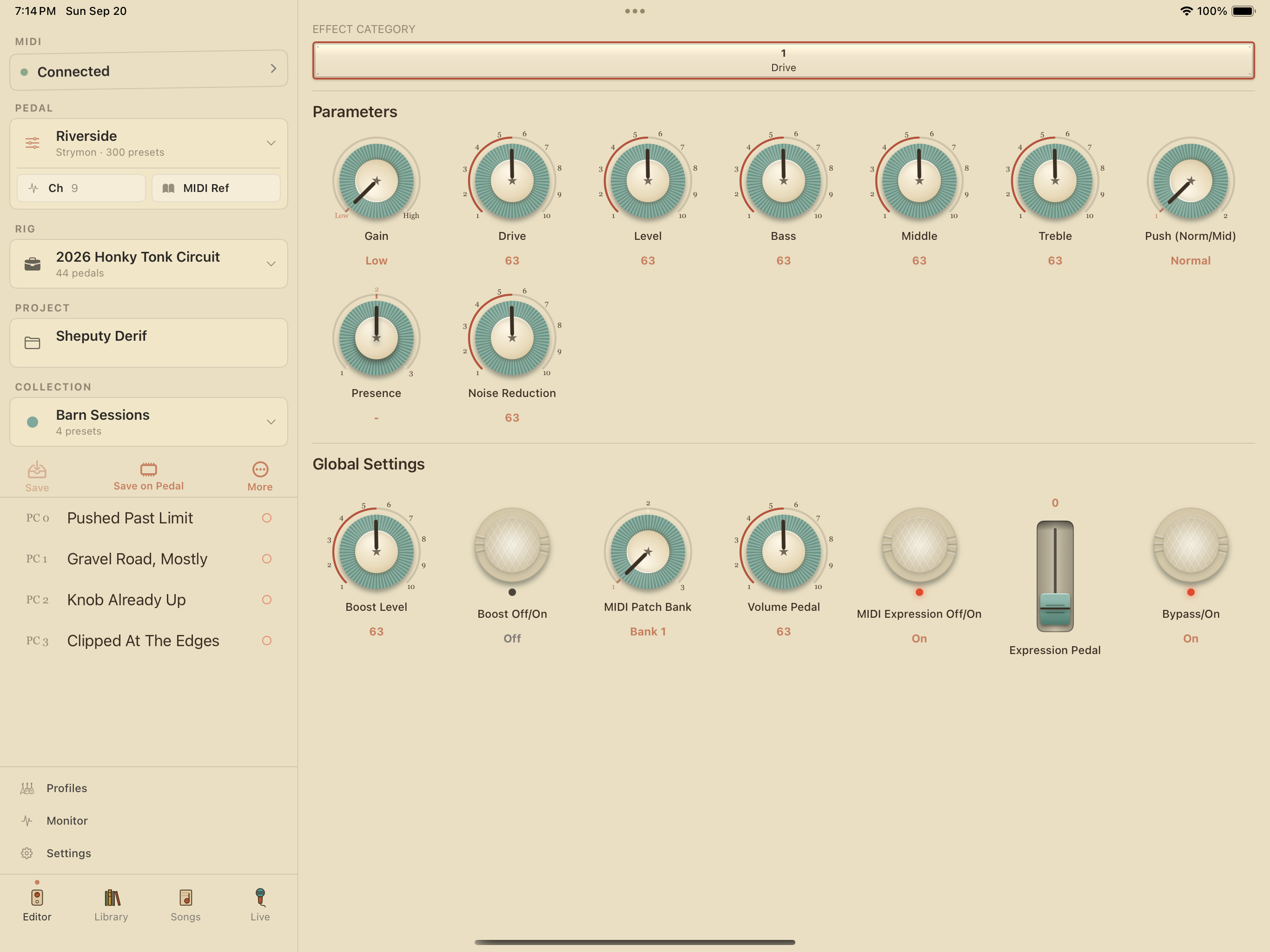 Strymon Riverside on iPad in PedalEditor
